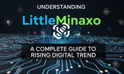 LittleMinaxo