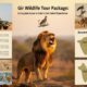 Gir Wildlife Tour Package