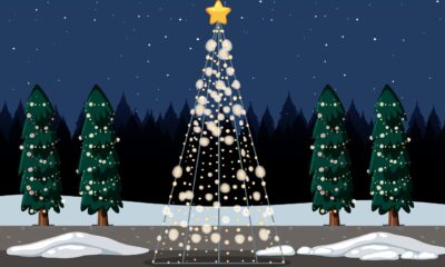 Valley Christmas Lights