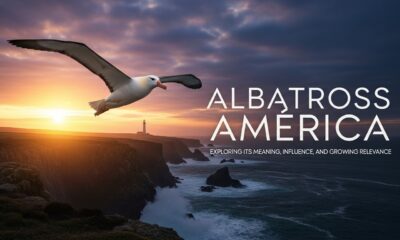 albatross america
