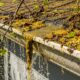 How Spring Pollen and Organic Buildup Affect Roof Drainage