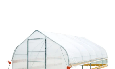 Tunnel Greenhouses in Modern Facility Operations: Practical Value, Efficiency, and Planning Considerations