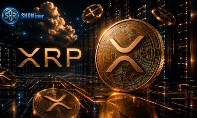 SHRMiner XRP
